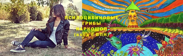 ECSTASY Абаза