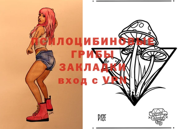 ECSTASY Абаза