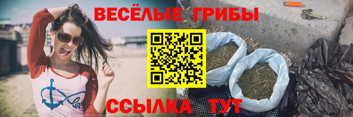 Галлюциногенные грибы Magic Shrooms  купить закладку  Нефтеюганск  Вход с VPN 